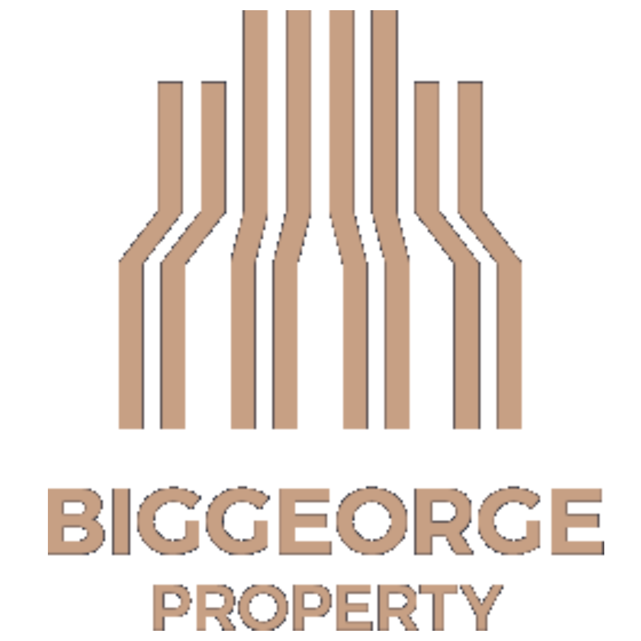 Biggeorge Property